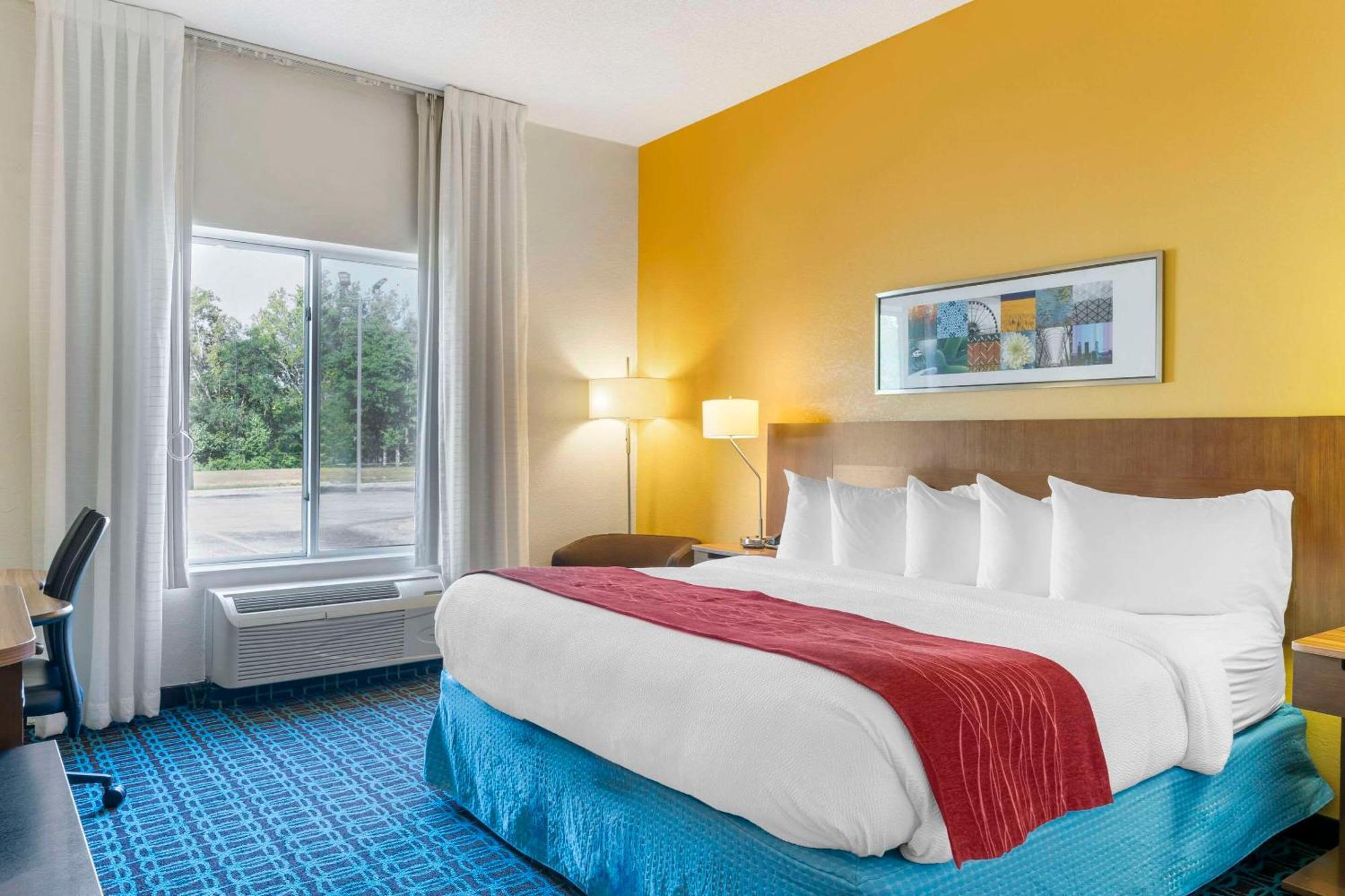 Comfort & Hotel